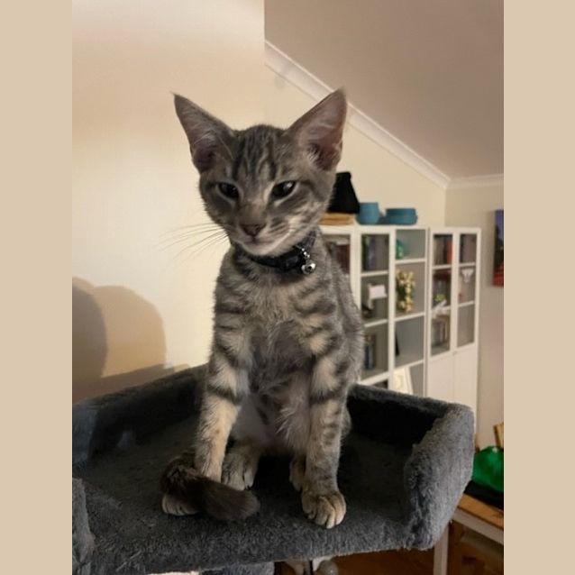 Photo of George