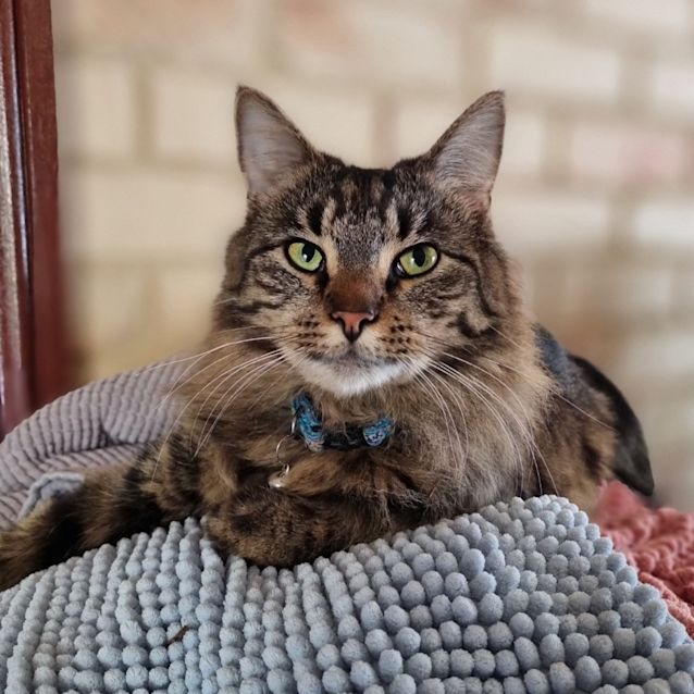 Photo of Snug