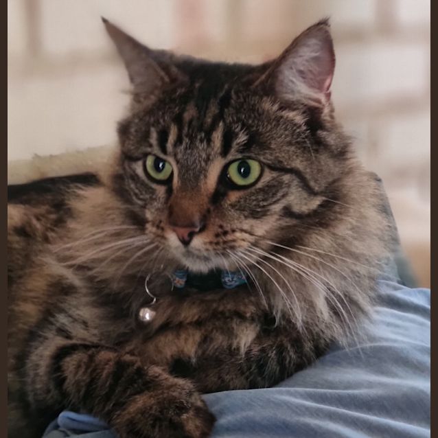 Photo of Snug
