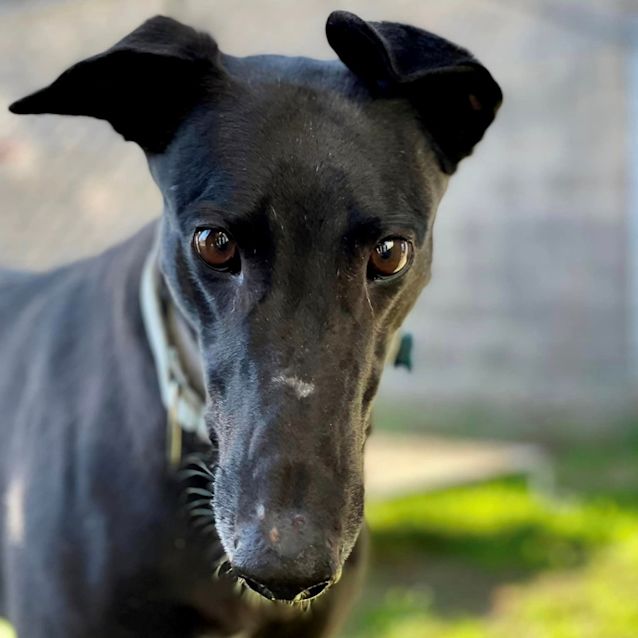 Photo of Lizzie Devine