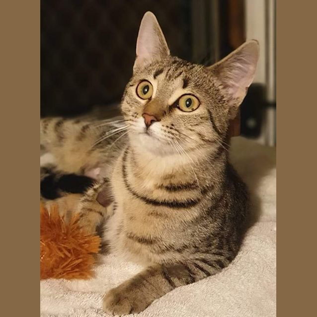 Photo of Leif