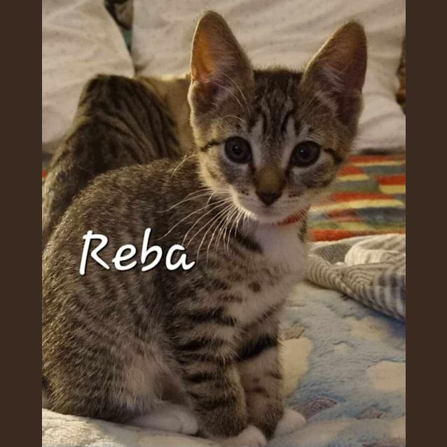 Photo of Reba