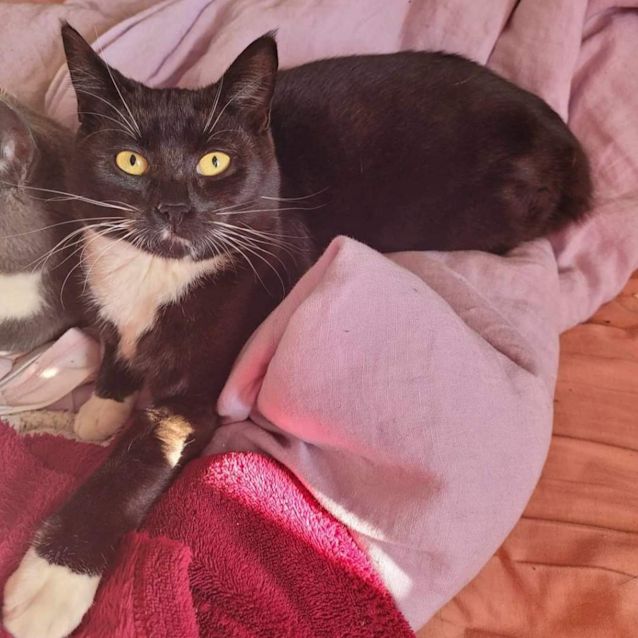 Photo of Spook