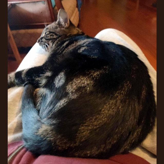 Photo of Maddie Sta011243