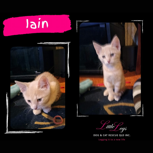 Photo of Iain