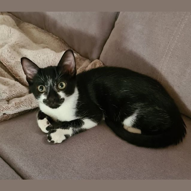Photo of Ralphie