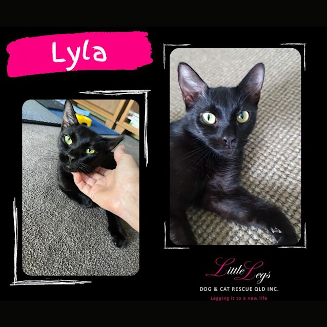 Photo of Lyla