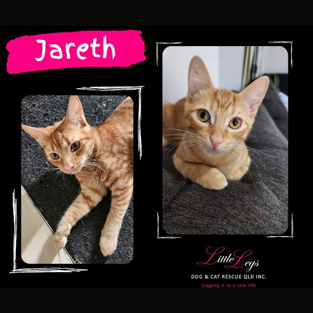 Photo of Jareth