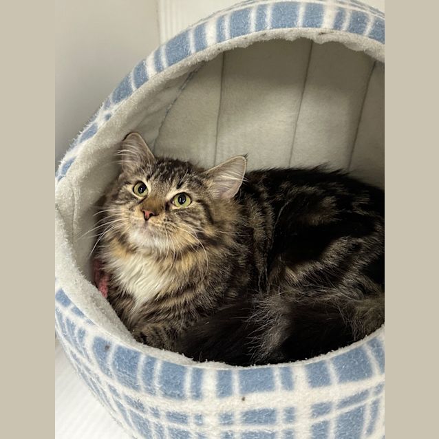 Photo of Sailor