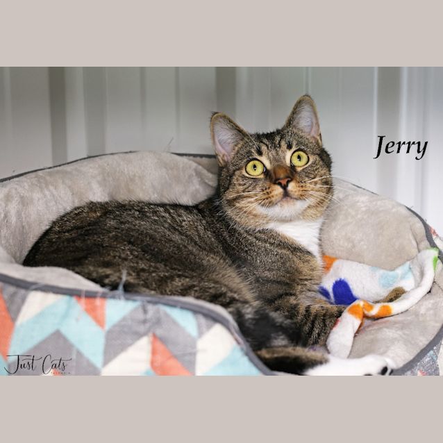 Photo of Jerry