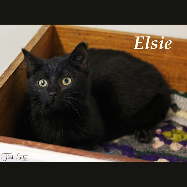 Photo of Elsie