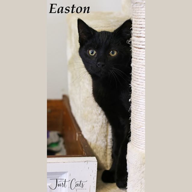 Photo of Easton