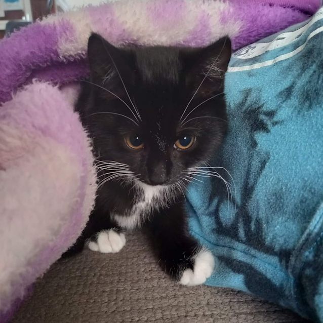 Photo of Timmy