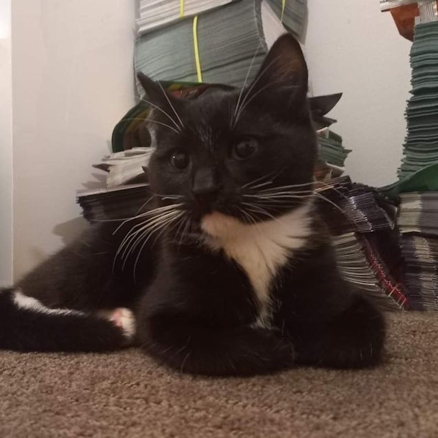 Photo of Timmy