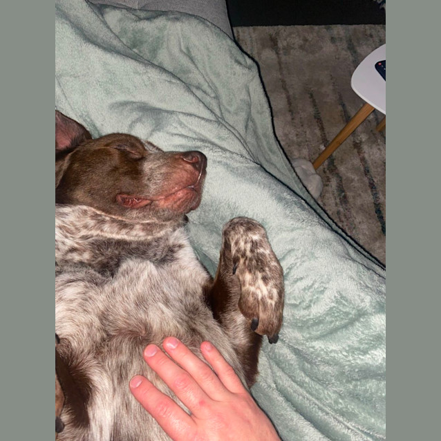 Photo of Max