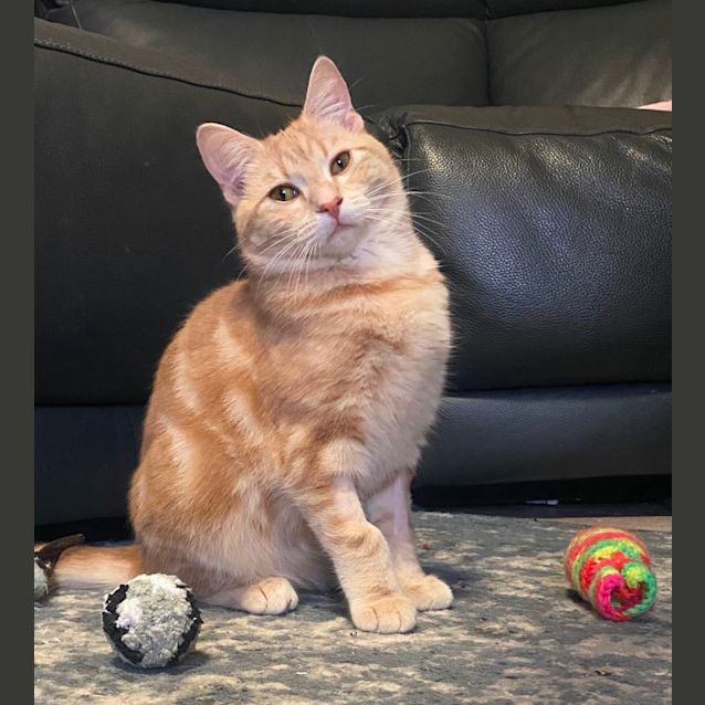 Photo of Drew