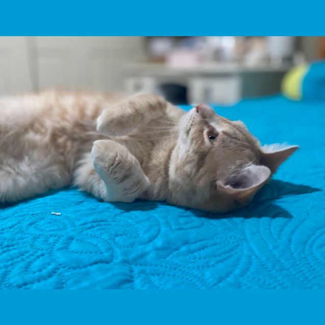 Photo of Drew