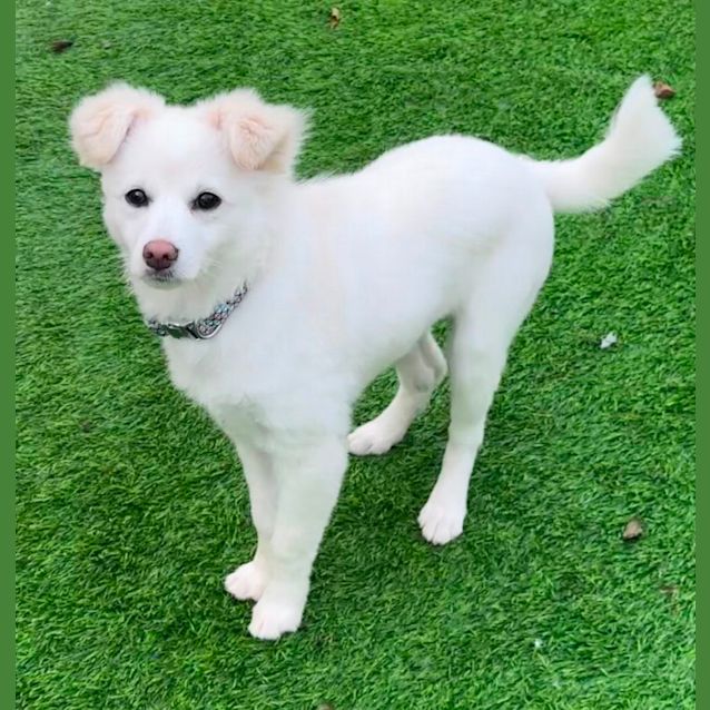 Photo of Daisy