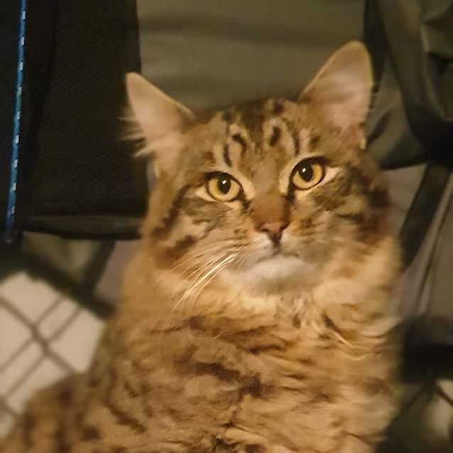Photo of Moses