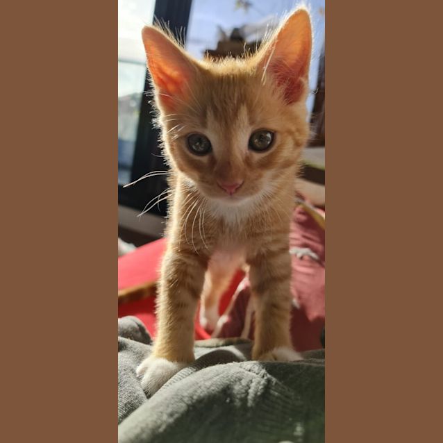 Photo of Miel & Caramel