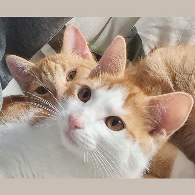 Photo of Miel & Caramel