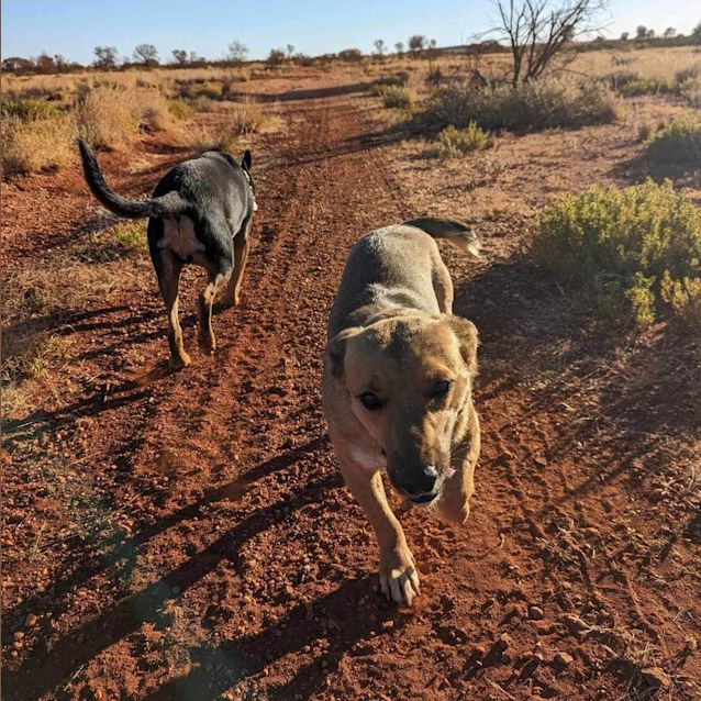 Photo of Hakuna