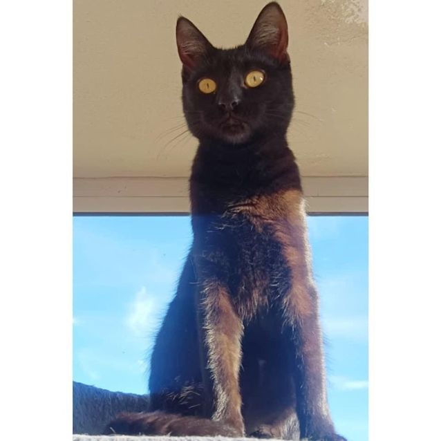 Photo of 9112   Pema