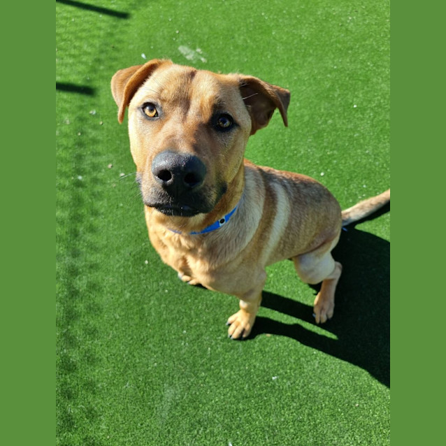 Photo of Jeff Imp 1201