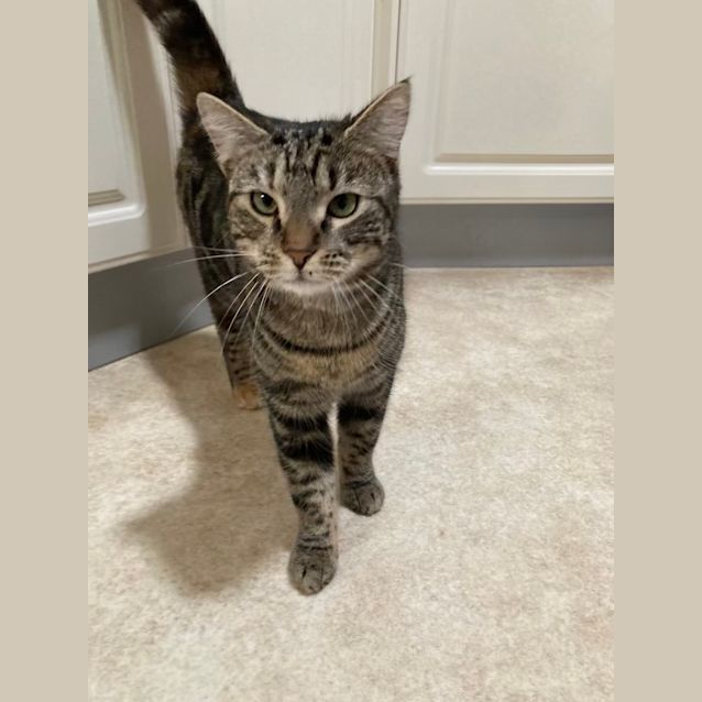 Photo of Freda