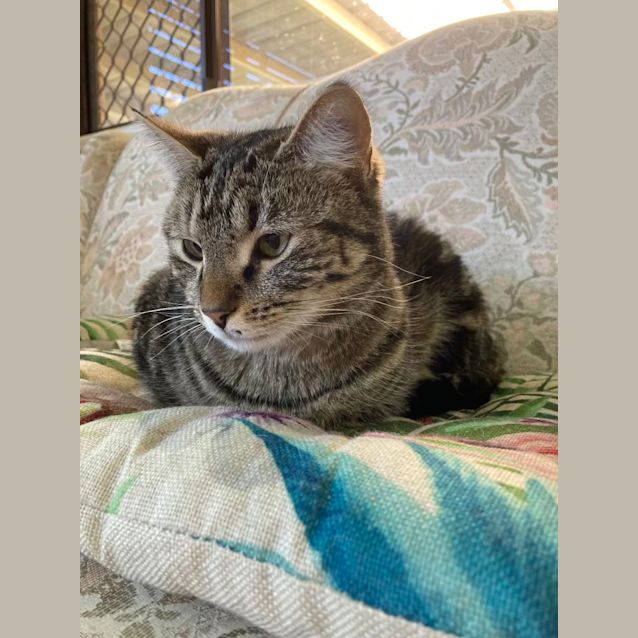 Photo of Freda
