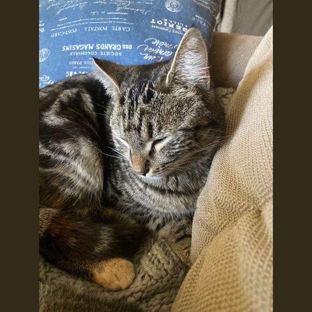 Photo of Freda