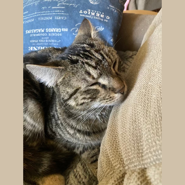 Photo of Freda