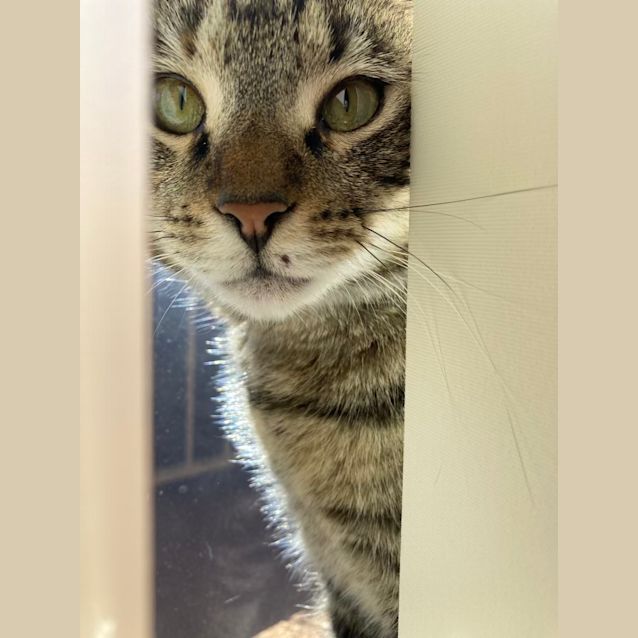 Photo of Freda