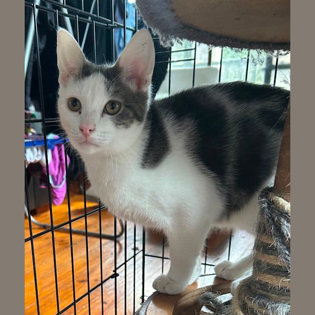 Photo of Monte Carlo