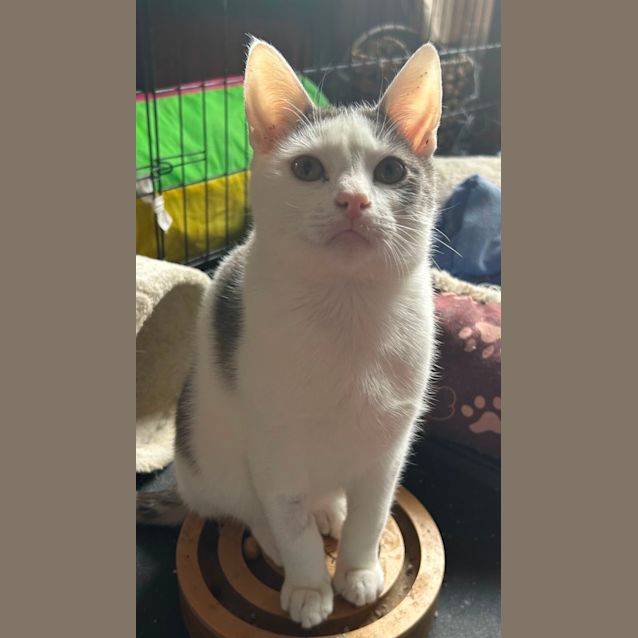 Photo of Monte Carlo