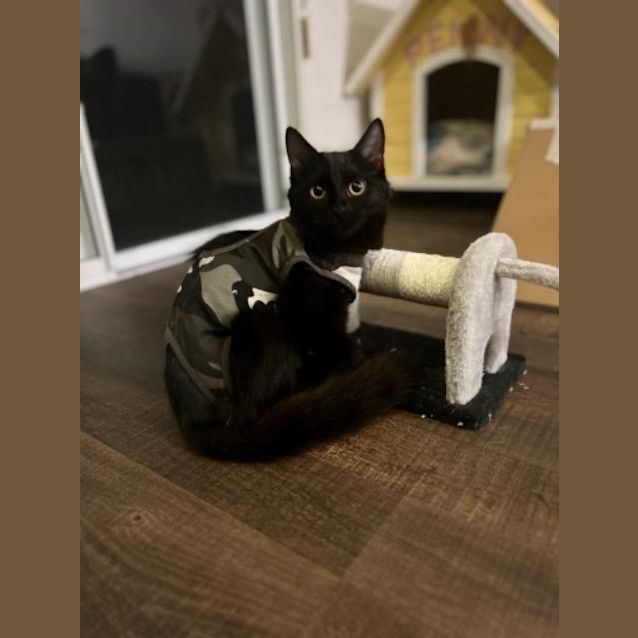 Photo of Nahla