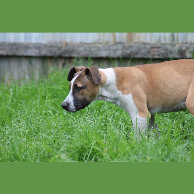 Photo of Tamba