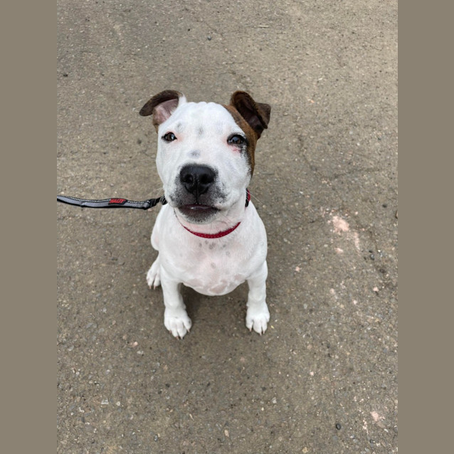 Photo of Cash
