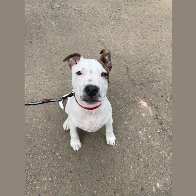 Photo of Cash