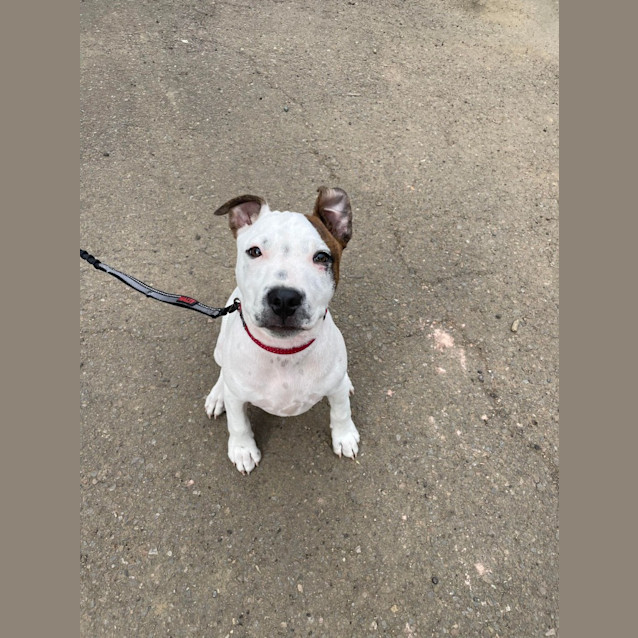 Photo of Cash