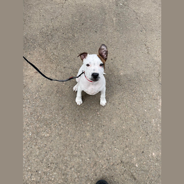 Photo of Cash