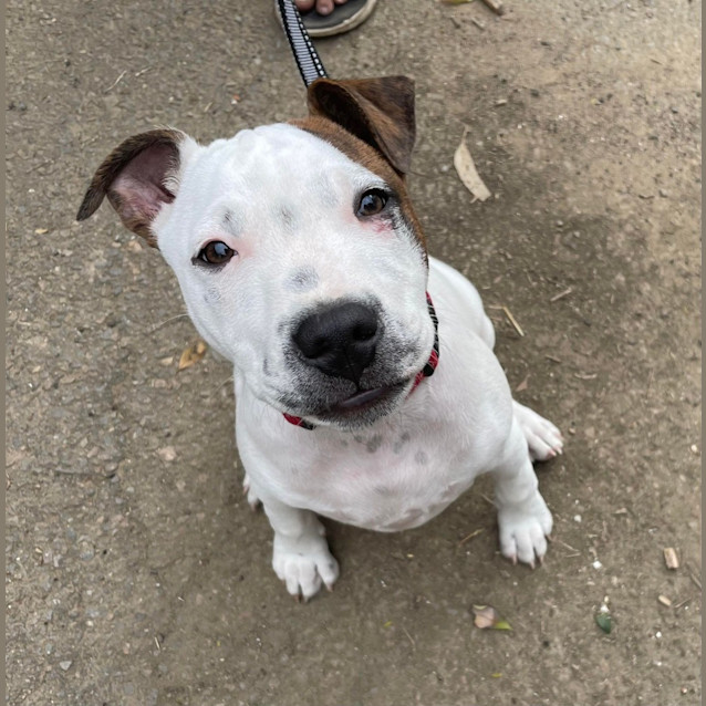Photo of Cash