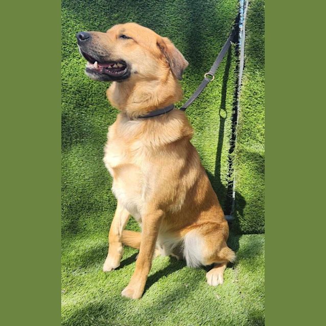 Photo of Odin / Erine