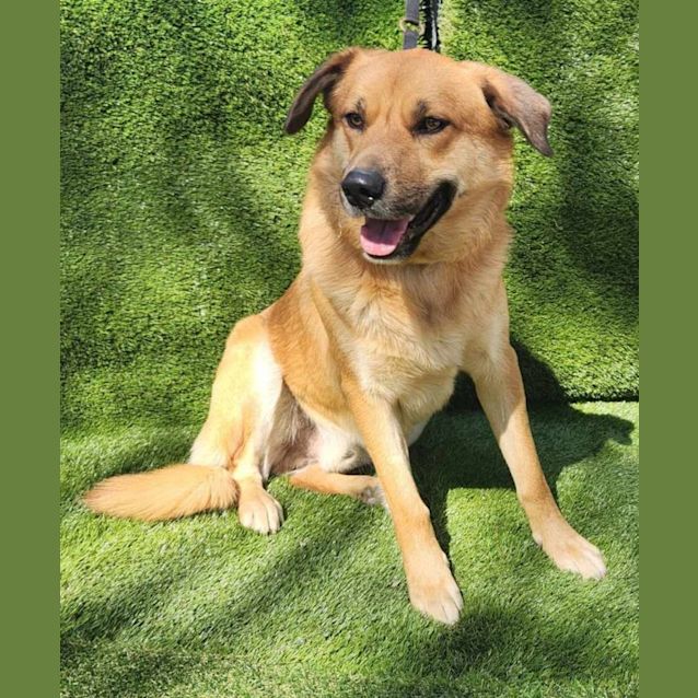 Photo of Odin / Erine