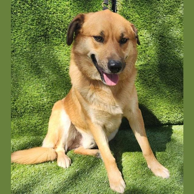 Photo of Odin / Erine