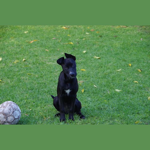 Photo of Ada