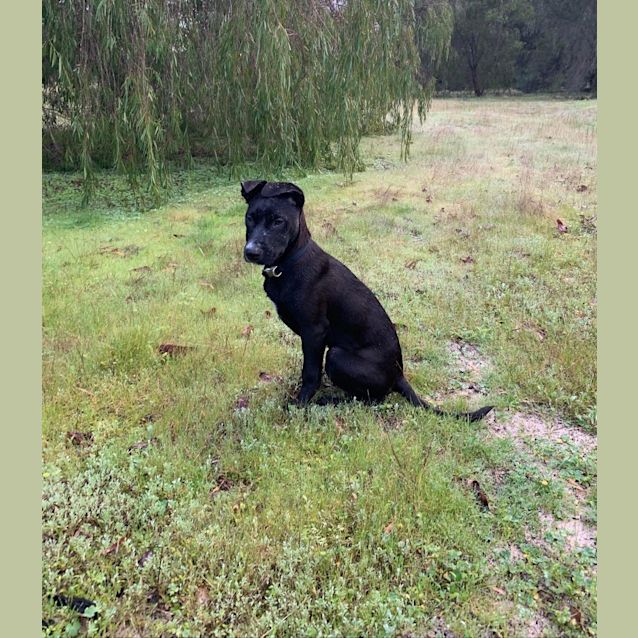 Photo of Ada