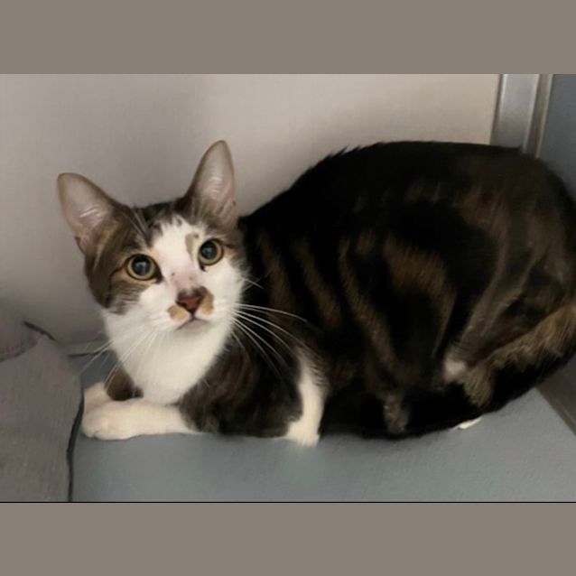 Photo of Neeko And Delilah 