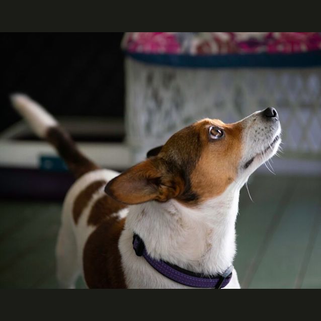 Photo of Max