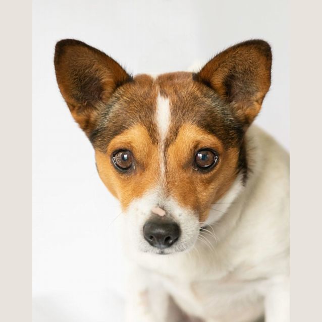 Photo of Max
